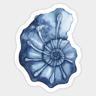 Blue nautilus seashell Sticker